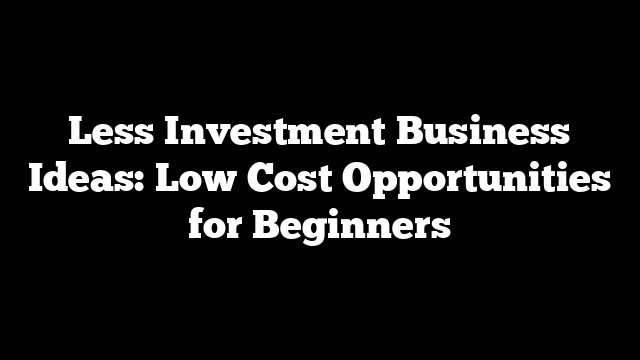 Less Investment Business Ideas: Low Cost Opportunities for Beginners