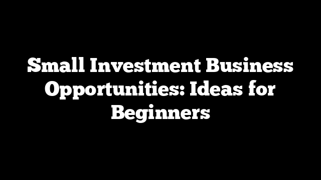 Small Investment Business Opportunities: Ideas for Beginners